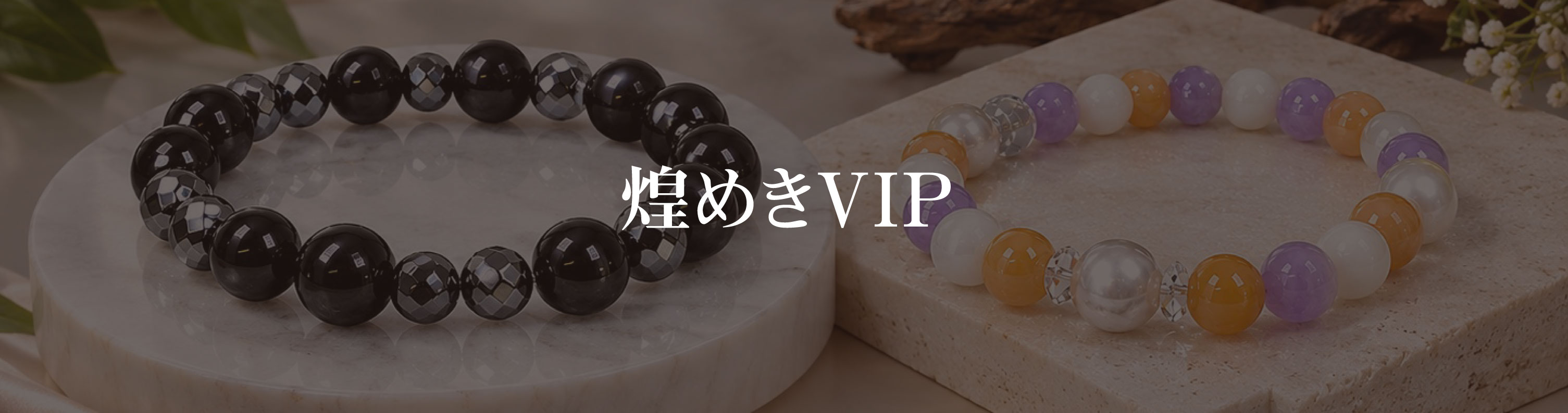 e-1最高峰ライン 煌めきVIP